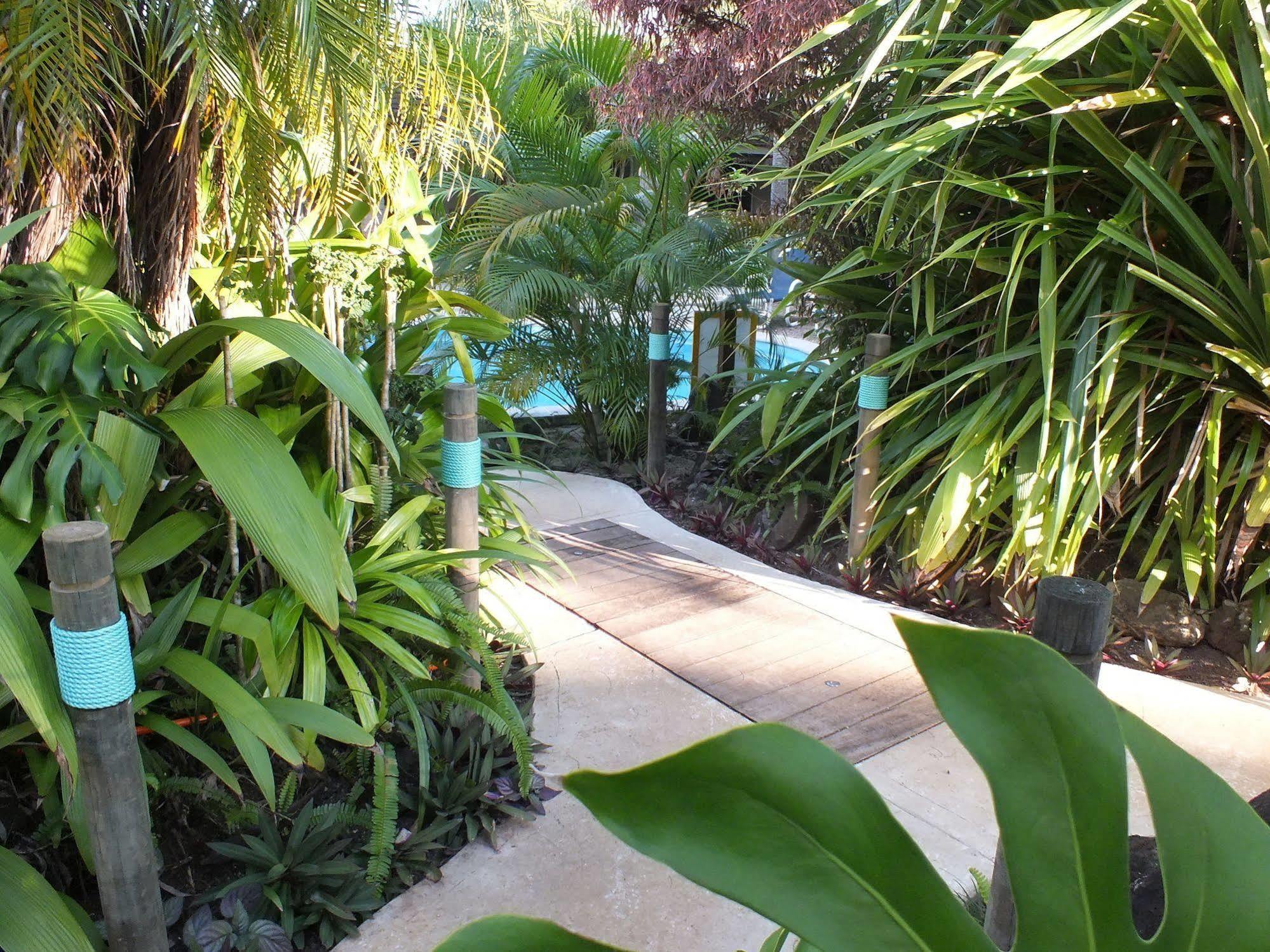 Rarotonga Daydreamer Escape Zewnętrze zdjęcie