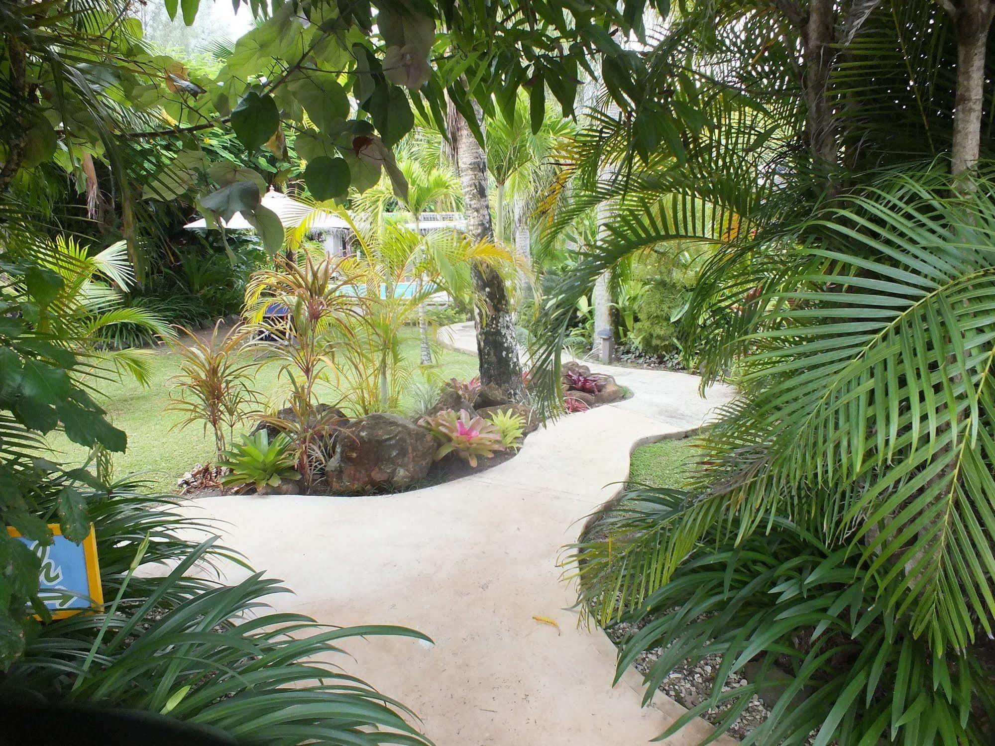 Rarotonga Daydreamer Escape Zewnętrze zdjęcie